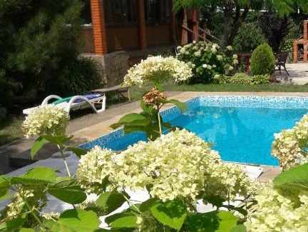 Mizikevycha Apartamento | Гостевой домик