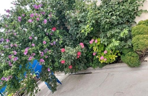 Anapa Casa | Гостевой дом Анна