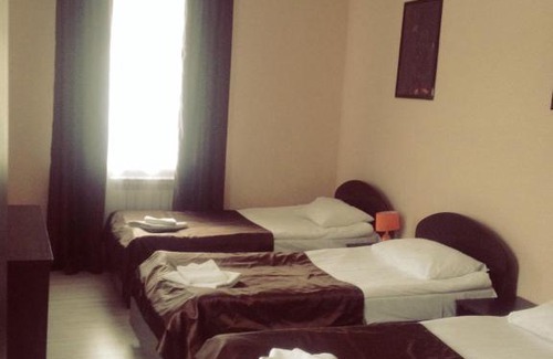 Chaplygin Hotel | Гостевой дом Базилик Чаплыгин