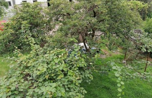 Kobuleti Casa | Гостевой дом у моря
