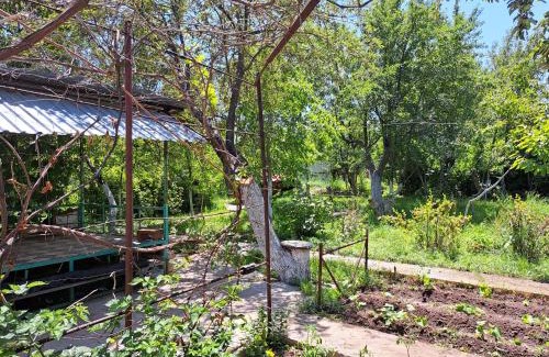Chuy Province Casa | Дача Байтик