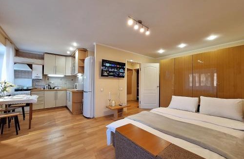 Sukhinovka Apartamento | Двокімнатна квартира біля ТРЦ КИЇВ та Каштанової Алеї Документи для відряджень Мережа AlexApartments Цілодобове безконтатне заселення