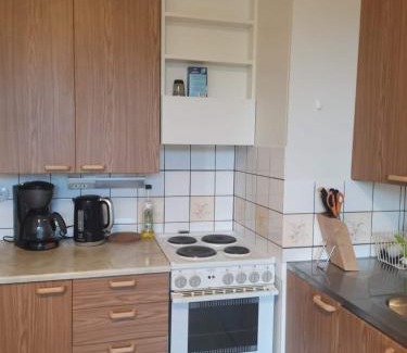 Imatra Apartamento | Двухкомнатные просторные апартаменты.