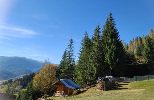 Snidavka Casa | Дзен Хата