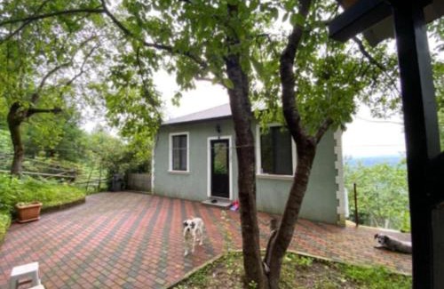 Kobuleti Casa | дом в квирике