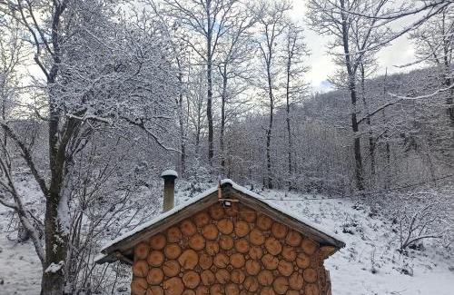 Transcarpathia Casa | Еко Садиба Під Полониною