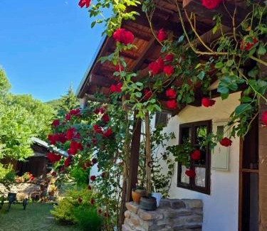 Dimitrovgrad Casa | Етно кућа Нана Добра