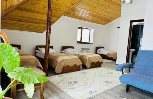 Karakol Casa | Жайсан