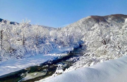 Snidavka Casa | Жива вода