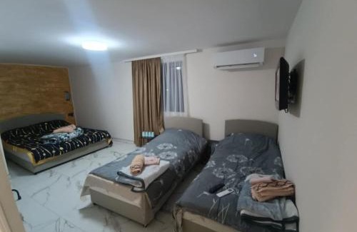Dimitrovgrad Casa | Жикин дом