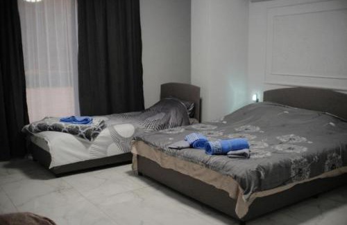 Dimitrovgrad Casa | Жикин дом