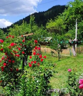 Roztoky Casa | Затишок Карпат