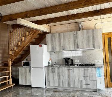 Snidavka Apartamento | Карпатська Тиша