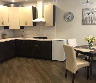 Stryi Apartamento | Квартира подобово, погодинно (Центр) Стрий