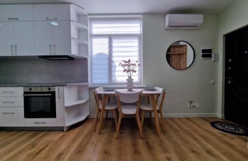 Codru Apartamento | Квартира