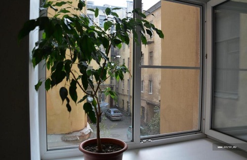 Vladimirskiy Apartamento | Комнаты в Кузнечном переулке