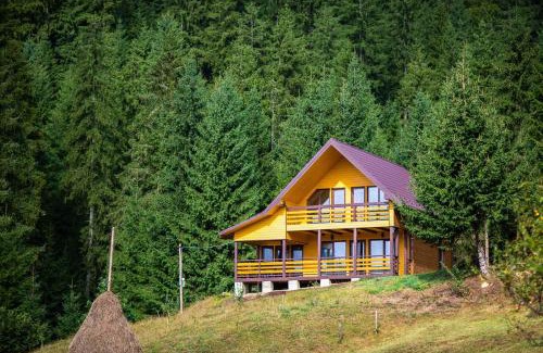 Verkhovyna Apartamento | Котедж Forest house