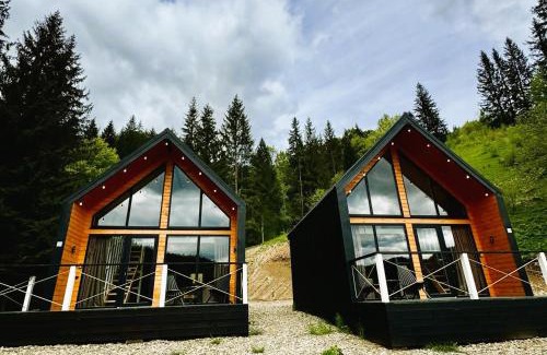Snidavka Apartamento | Котедж Royal place