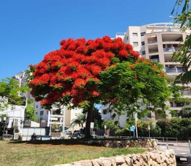 Bat Yam Apartamento | Краткосрочная посуточная аренда Бат-Ям!