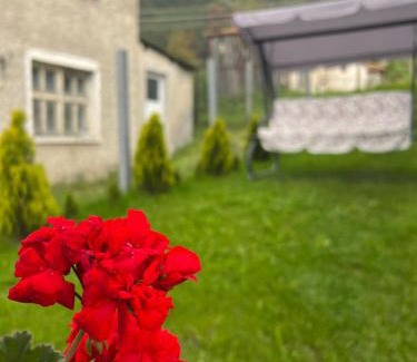 Borino Casa | Къща за гости "Домът на Краси"