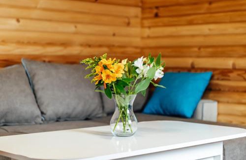 Sapareva Banya Casa | Къщи за гости БРИК