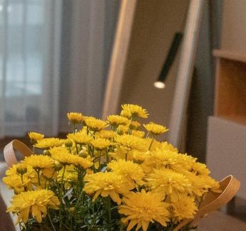 Lozenets Apartamento | Луксозно студио One Place in Sofia A1 - Лозенец