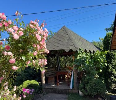 Verkhovyna Casa | Лісова пісня