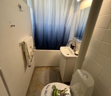 Naerum Apartamento | Однокімнатна квартира
