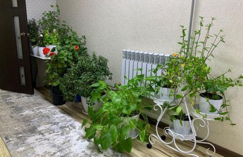 Osh Region Apartamento | Омурбек