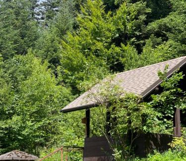 Skhidnytsya Cabina | Оранта