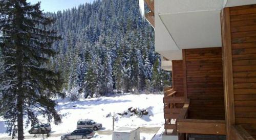 Pamporovo Apartamento | Пампорово студио Милка в хотел Росица