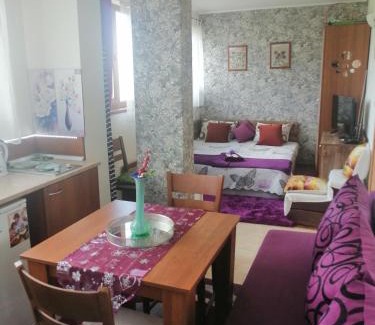 Pamporovo Apartamento | Пампорово студио Милка в хотел Росица