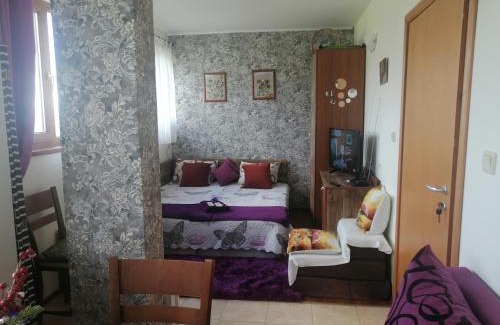 Pamporovo Apartamento | Пампорово студио Милка в хотел Росица