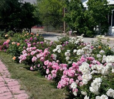 Ak-Talaa District Casa | Пансионат Зето
