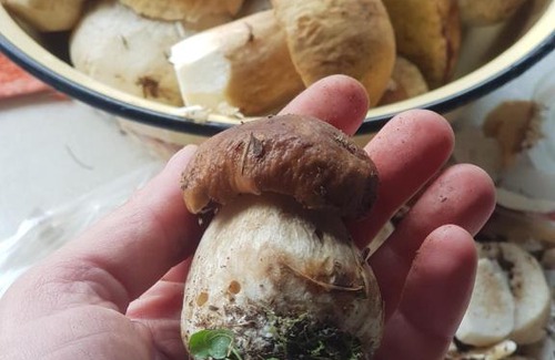 Verkhovyna Cama Y Desayuno | Панская Печь