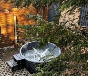 Skhidnytsya Apartamento | Парк-готель Щастя