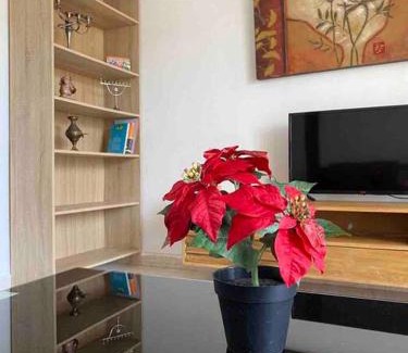 Haifa Apartamento | Прекрасная квартира на берегу Средиземного моря