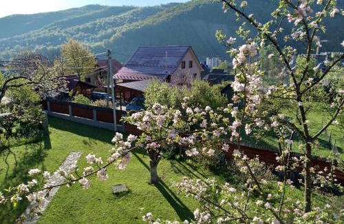 Yaremche Casa | Приватна садиба Яблуневий сад 1