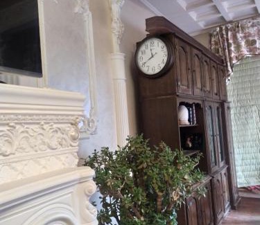 Krivoy Rog Apartamento | Приватний Будинок з Каміном, у Центрі Міста , вул Стрєльцова, 21