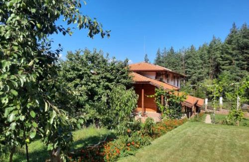 Vranyantsi Casa | Райчевата къща - Кюстендил
