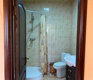 Nyzhnje Selyshche Casa | Садыба над Рикою