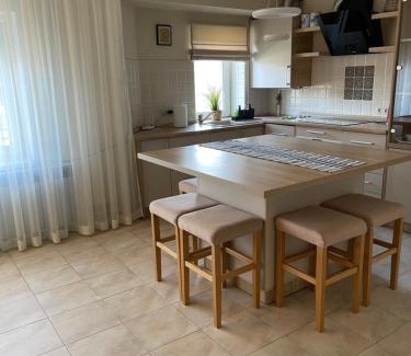Transcarpathia Apartamento | Сонячне Закарпаття