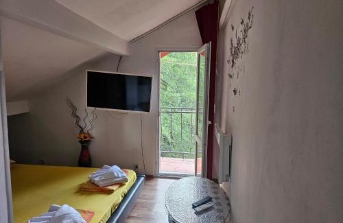 Tryavna Casa | Стаи до реката