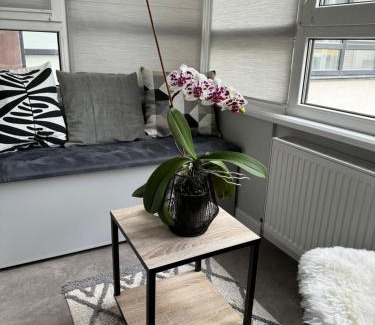 Ternopil Apartamento | Стильна чудова квартира в місті Тернопіль