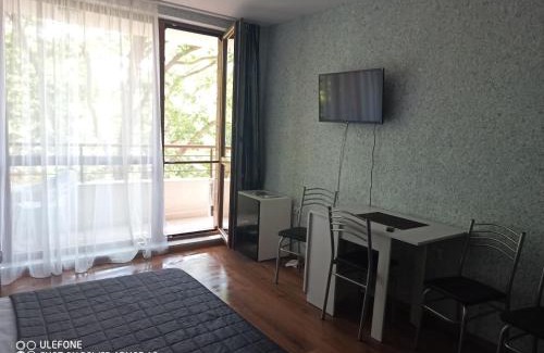 Shkorpilovtsi Apartamento | Студио Илана