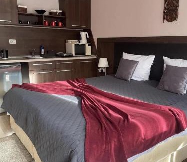 Velingrad Apartamento | Студио Натали в балнеохотел Св Спас