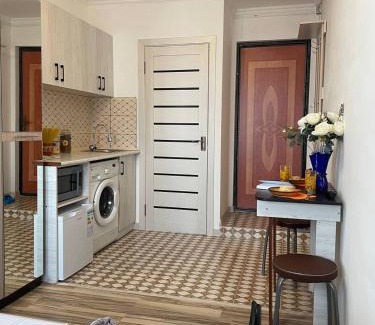 Shymkent Apartamento | Студия для двоих 362