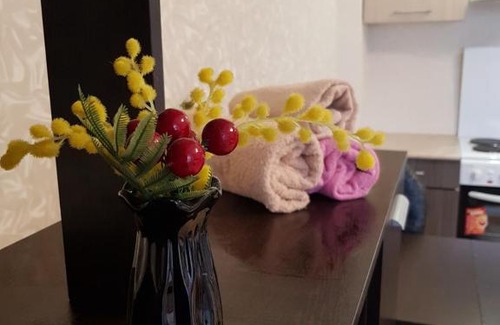 Ivanovo Apartamento | Студия на ул. Московская, 62