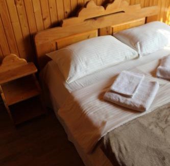 Dilyatyn Hotel | Трембіта