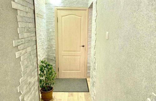 Temirtau Apartamento | Уютная однушка в центре города